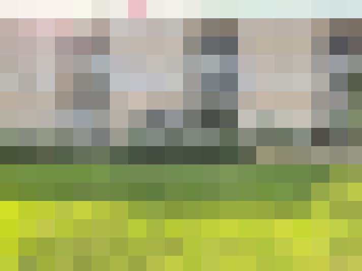 Image 24