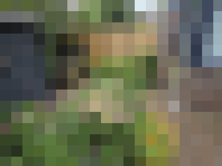 Image 15