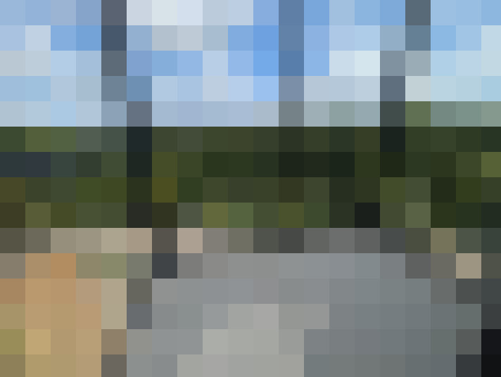 Image 13