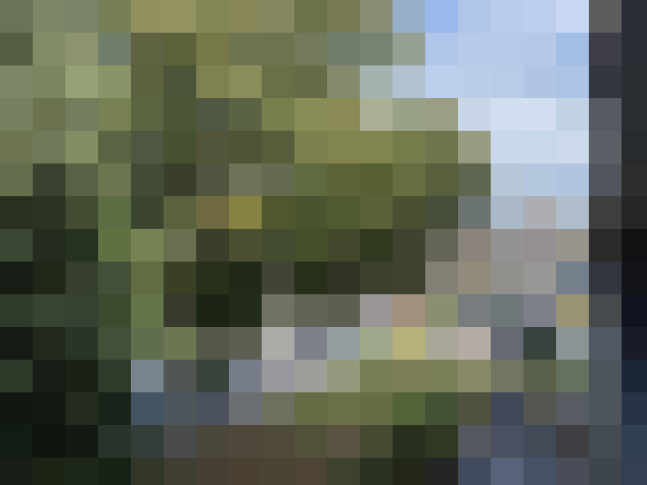 Image 22
