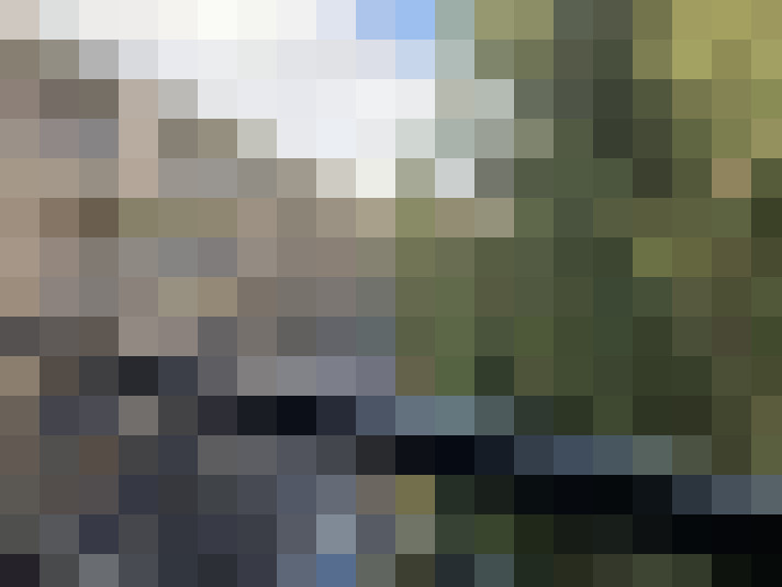 Image 23