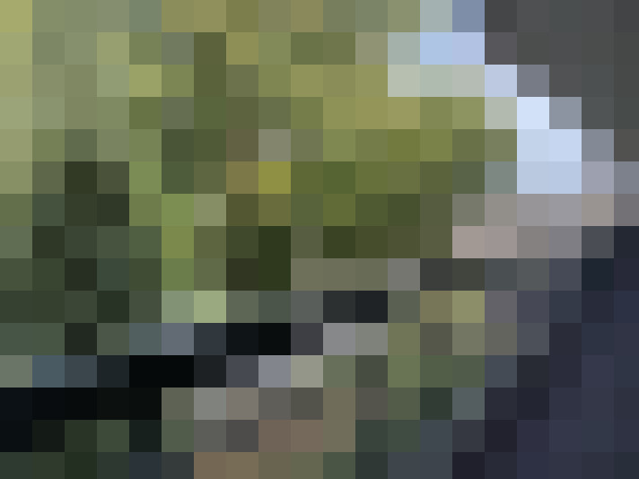 Image 24