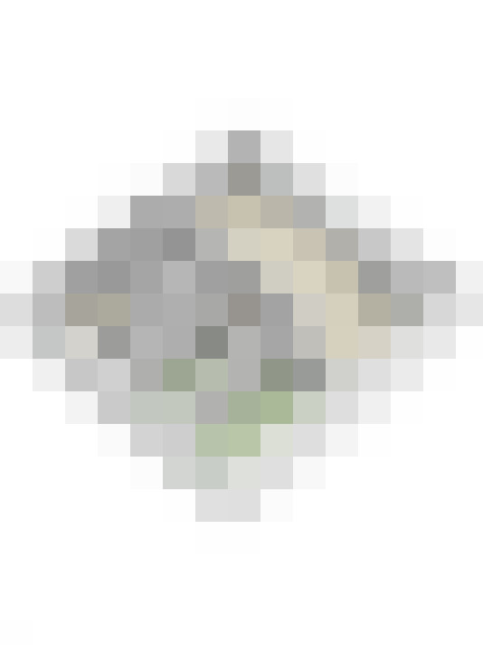 Image 26
