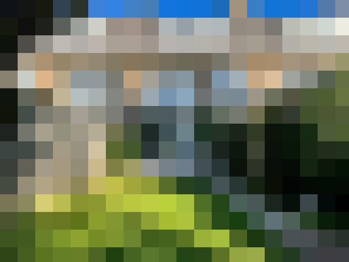 Image 30