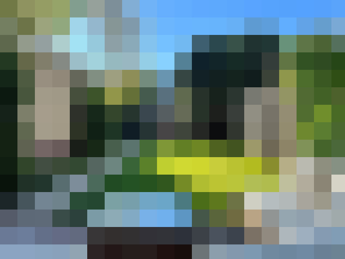 Image 29