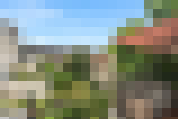 Image 20