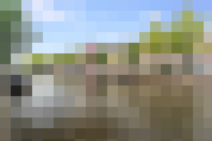 Image 28