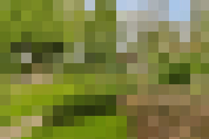 Image 17