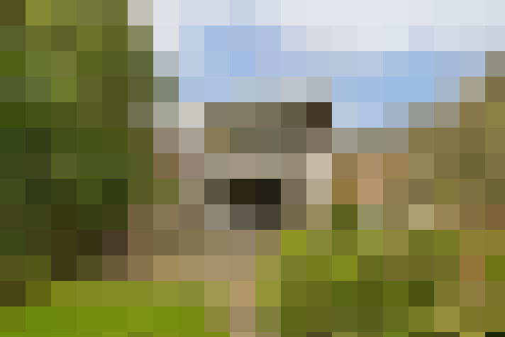 Image 20