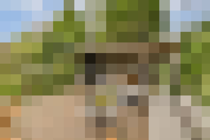 Image 13