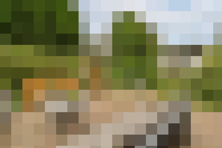 Image 18