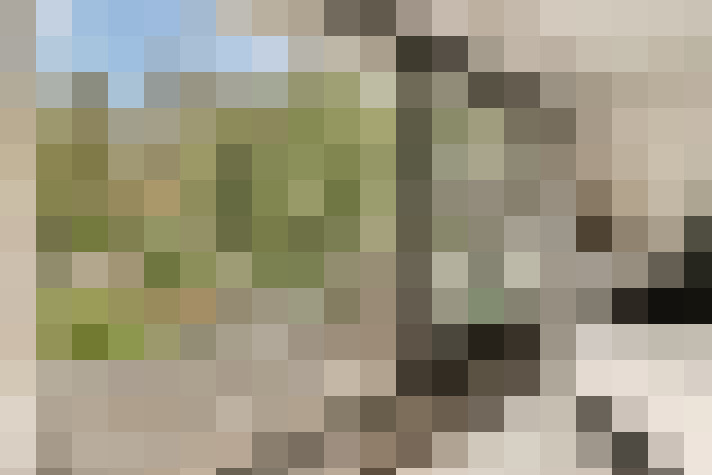 Image 26