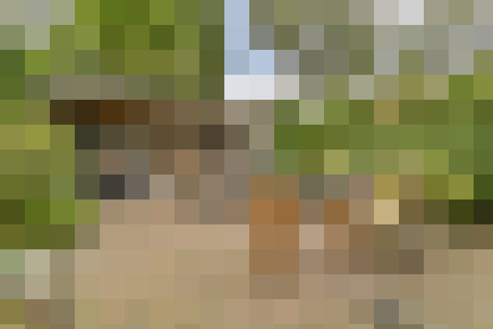 Image 14