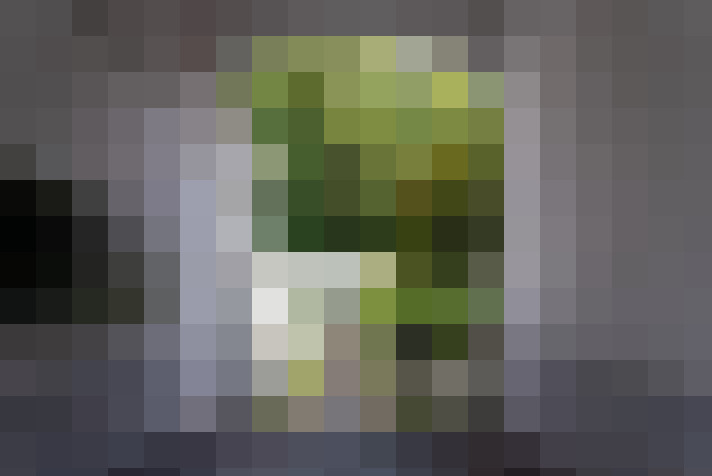 Image 25