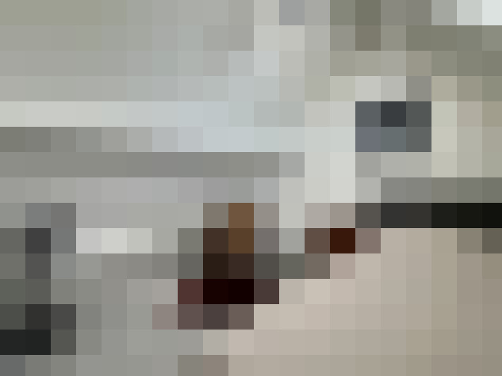 Image 23