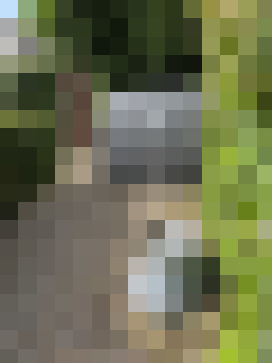 Image 29