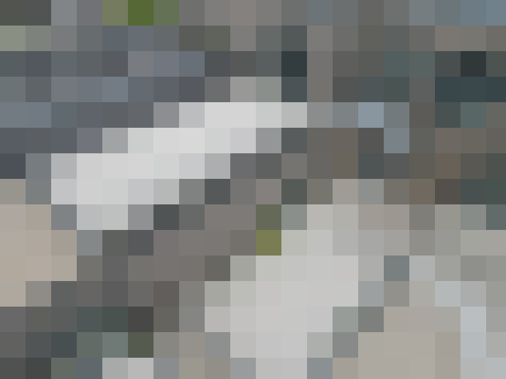 Image 14