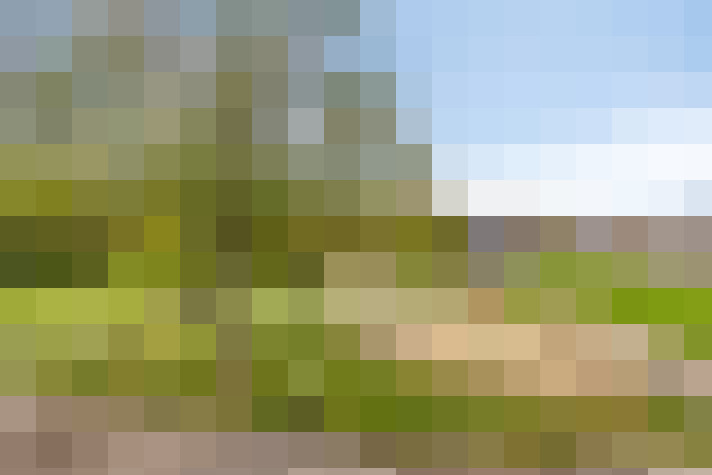 Image 32
