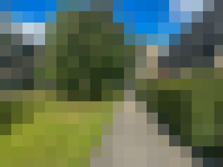 Image 20