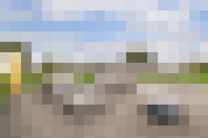 Image 24