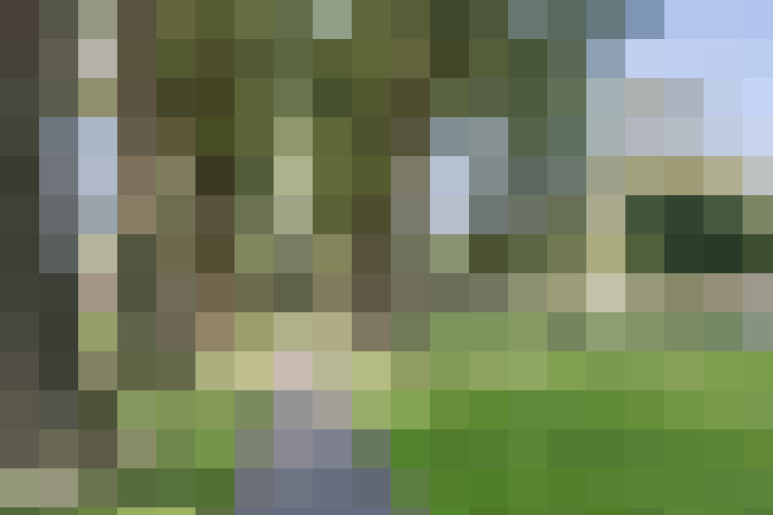 Image 29