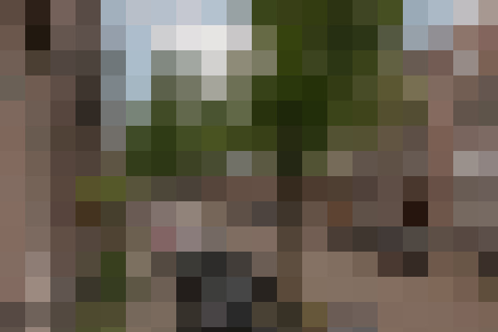 Image 35