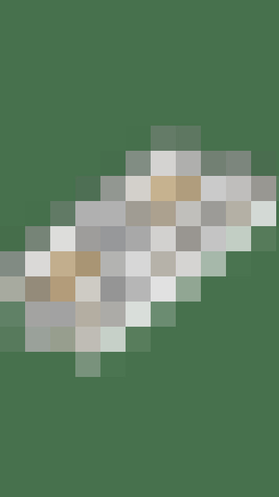 Image 54