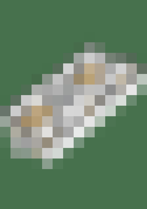 Image 56