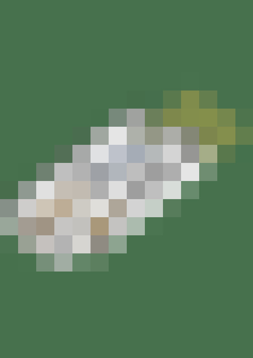 Image 62