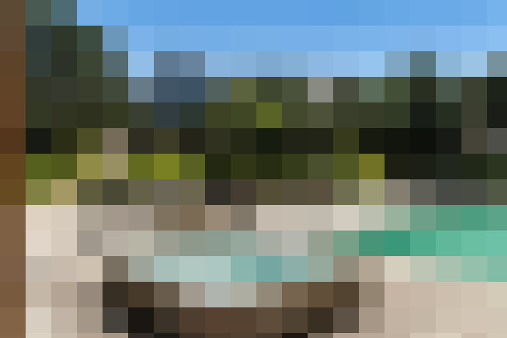 Image 31