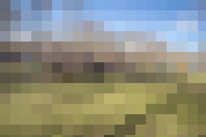 Image 28
