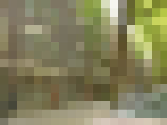 Image 31