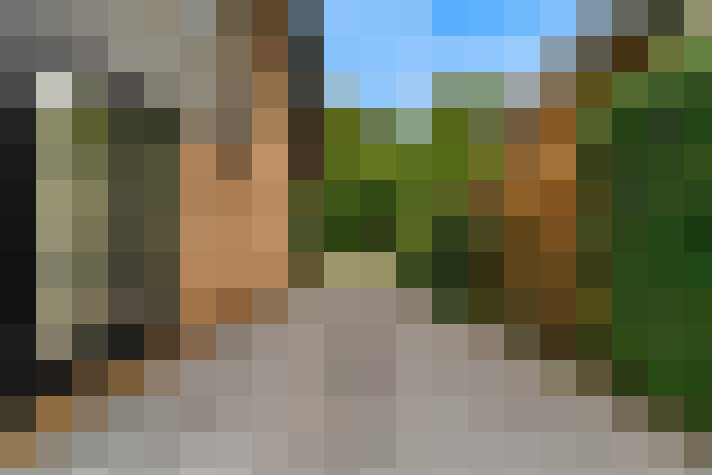 Image 24