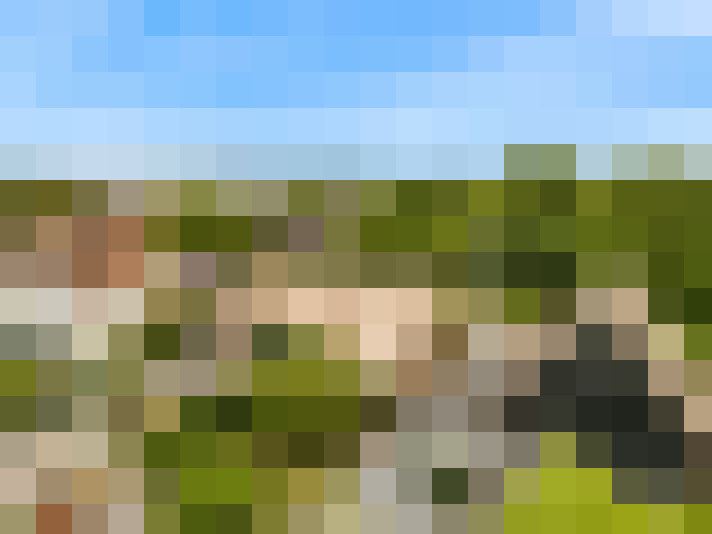 Image 31