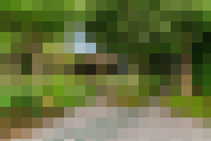 Image 28