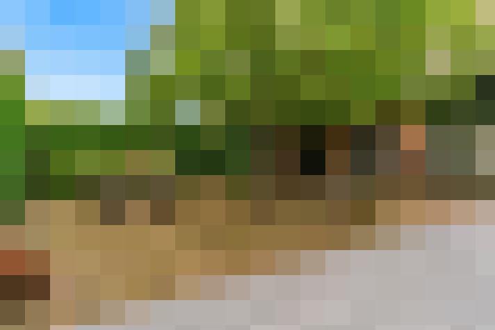 Image 25
