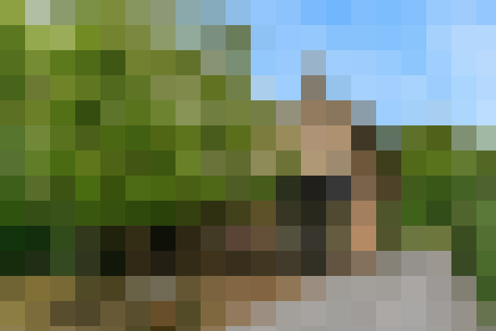 Image 23