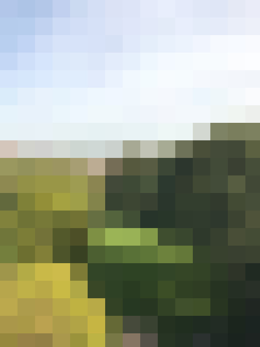 Image 31