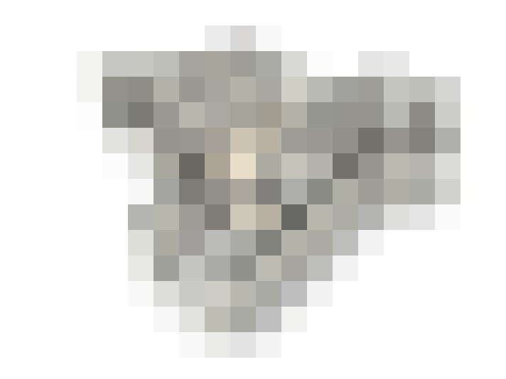 Image 37