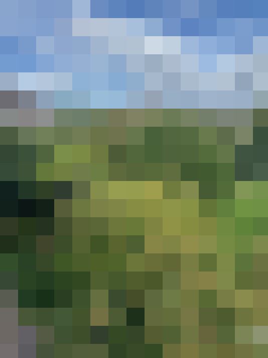 Image 30