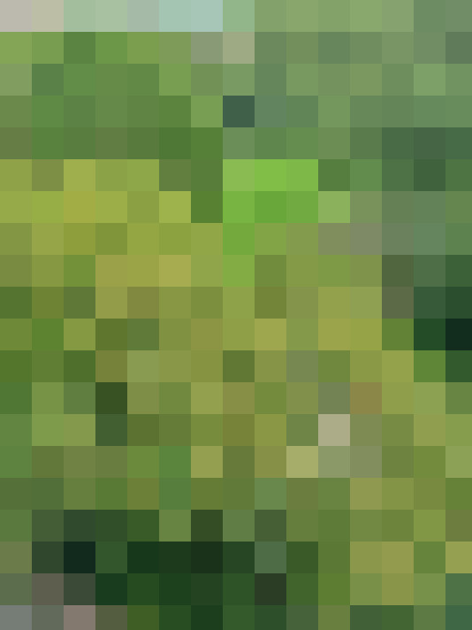 Image 28