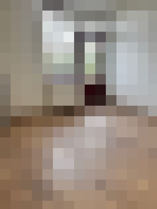 Image 20
