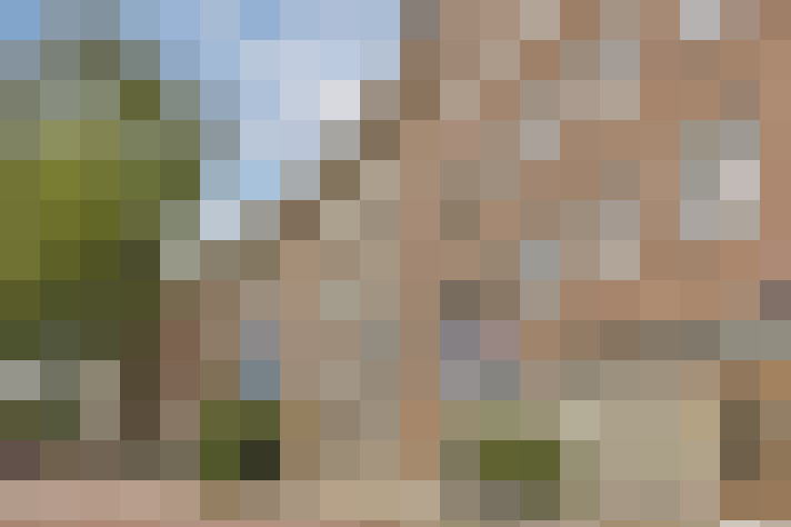 Image 19