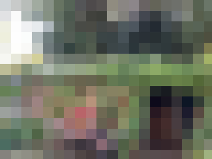 Image 15