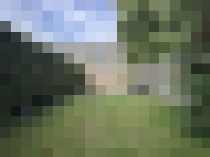 Image 15