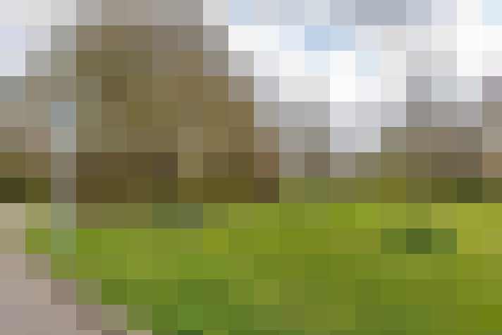 Image 50