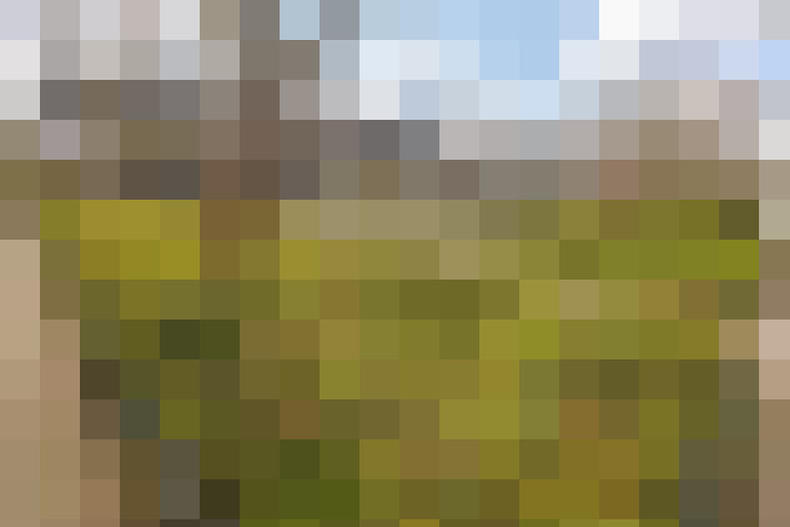 Image 41