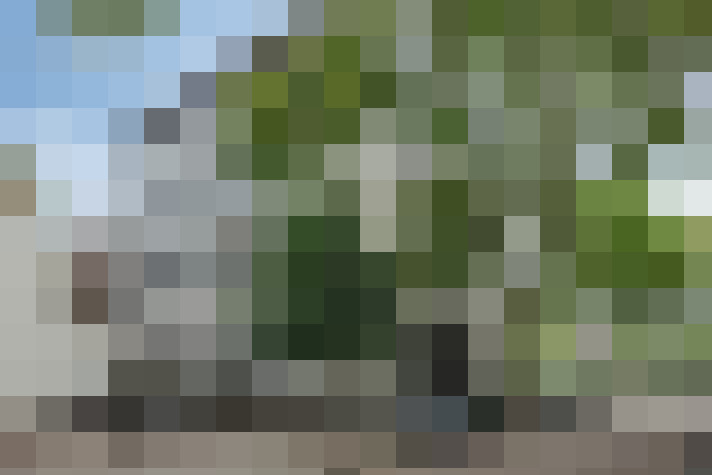 Image 23