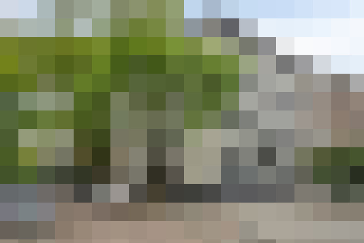 Image 22