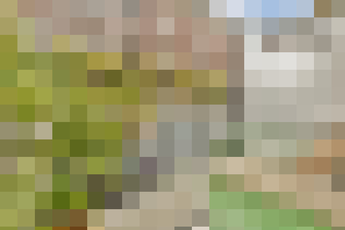 Image 15